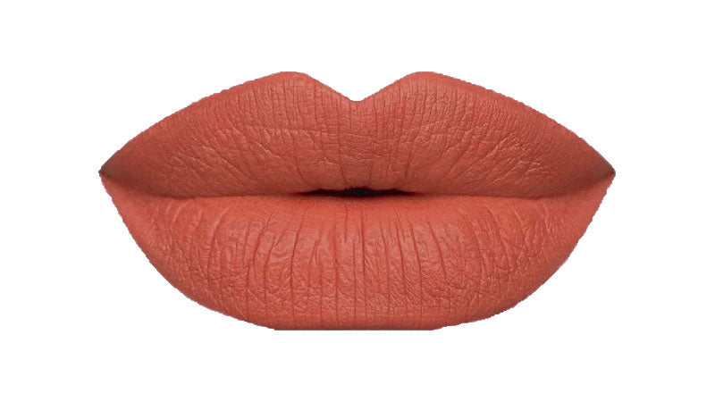 Shy Girl Liquid Lipstick - Long-Lasting Matte Finish | Gym Ready Lips